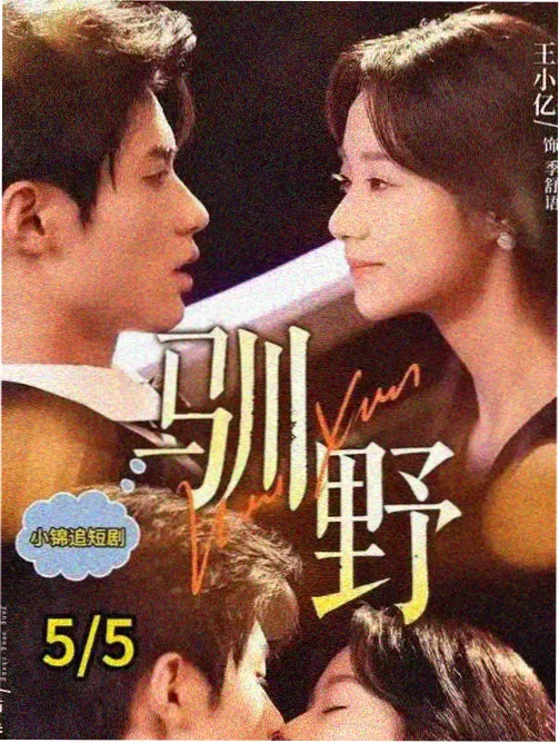韩国夫人电影学术放映现场