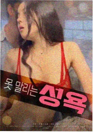 韩国夫人电影导演访谈资料照片